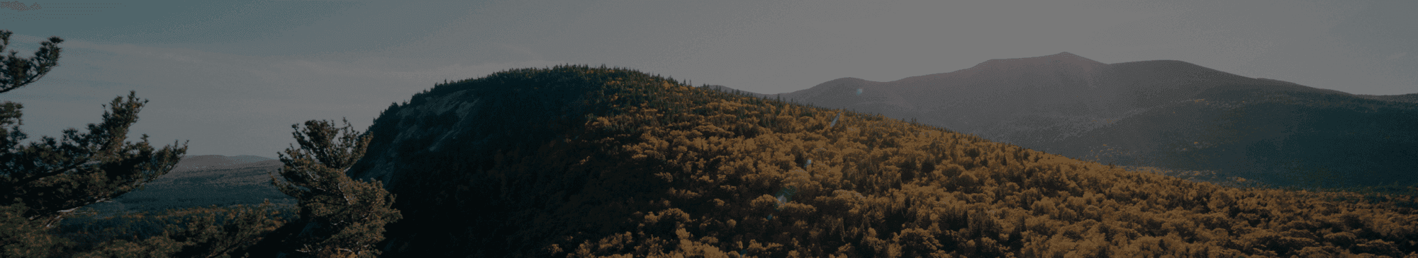 Social phobia background