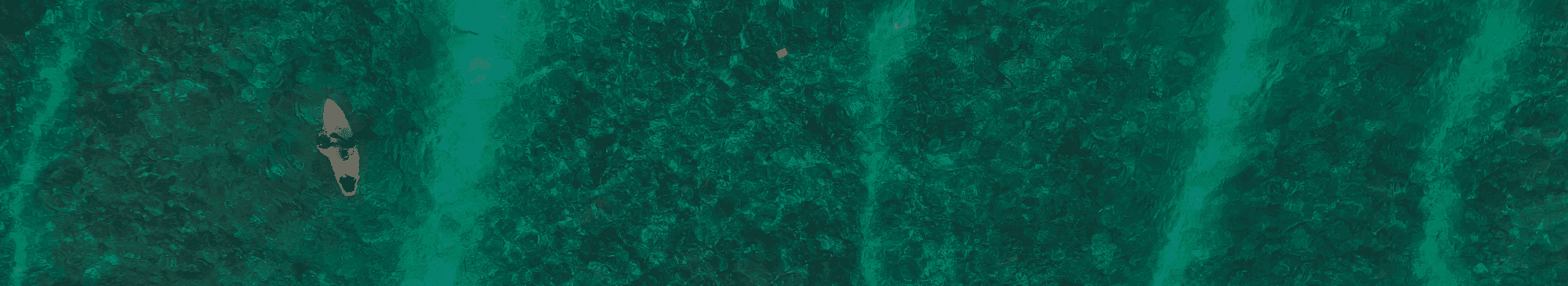 Panic disorder background