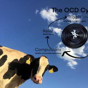Is Rumination Getting You Stuck in the OCD Cycle?