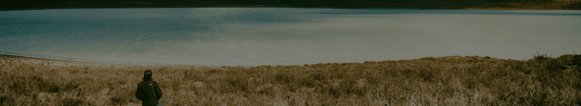 Trauma therapy background